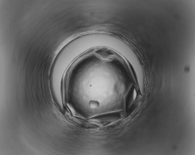 X0000115520100200911271332