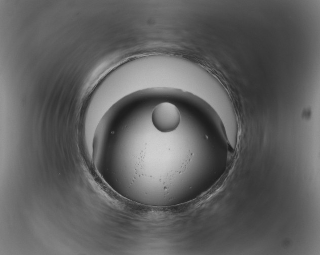 X0000115520101200911271332