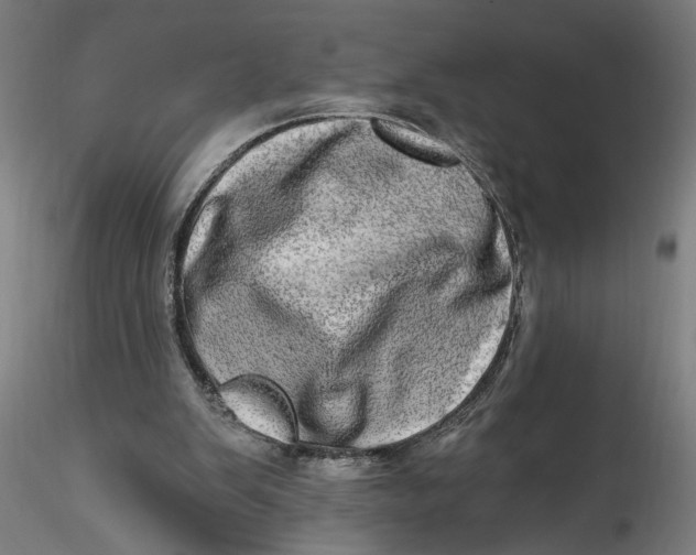 X0000115520103200911271332