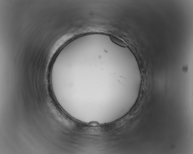 X0000115520104200911271332