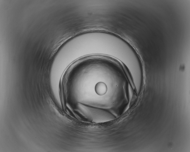 X0000115520105200911271332