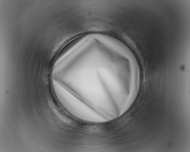 X0000115520106200911271332