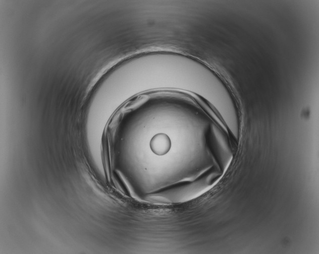 X0000115520108200911271332