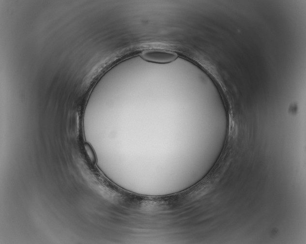 X0000115520109200911271332