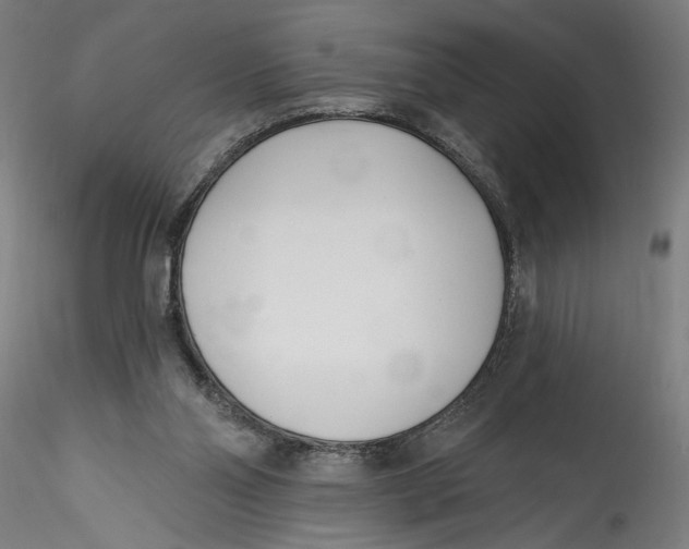 X0000115520110200911271332