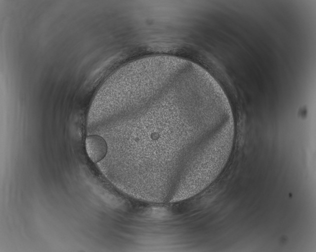 X0000115520114200911271331