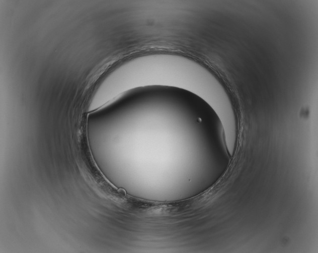 X0000115520116200911271331