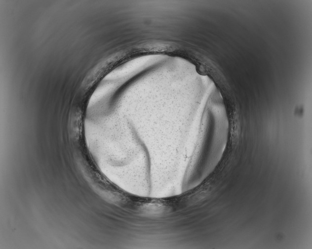 X0000115520119200911271331