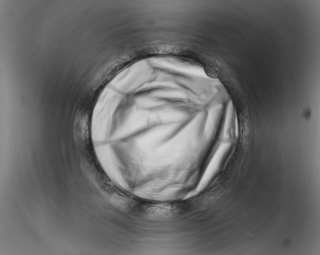 X0000115520123200911271331