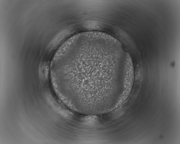 X0000115520124200911271331