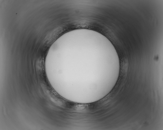 X0000115520126200911271331