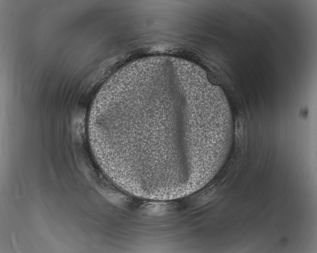 X0000115520127200911271331