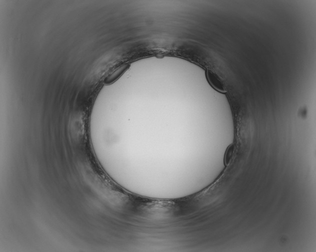 X0000115520128200911271331