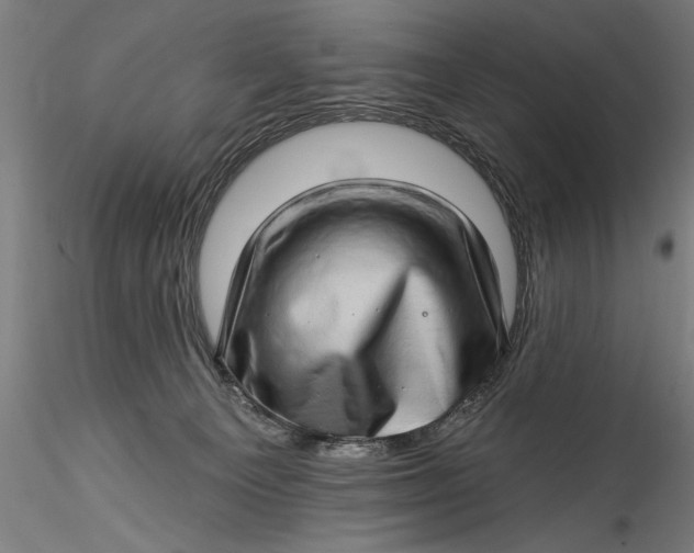 X0000115520129200911271331