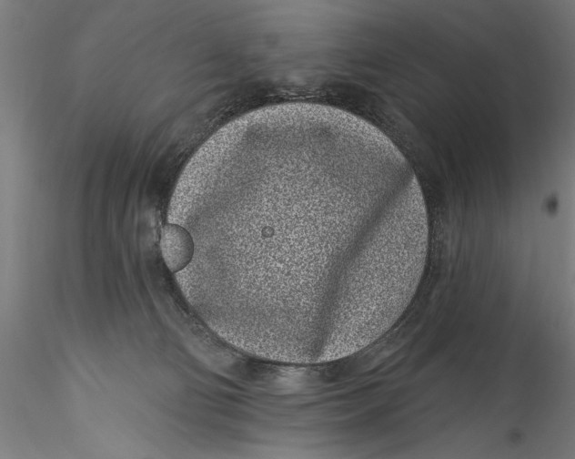 X0000115520130200911271331