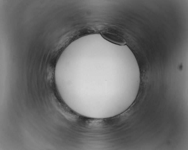 X0000115520132200911271331