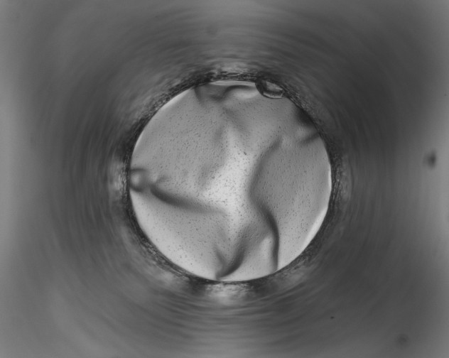 X0000115520135200911271331