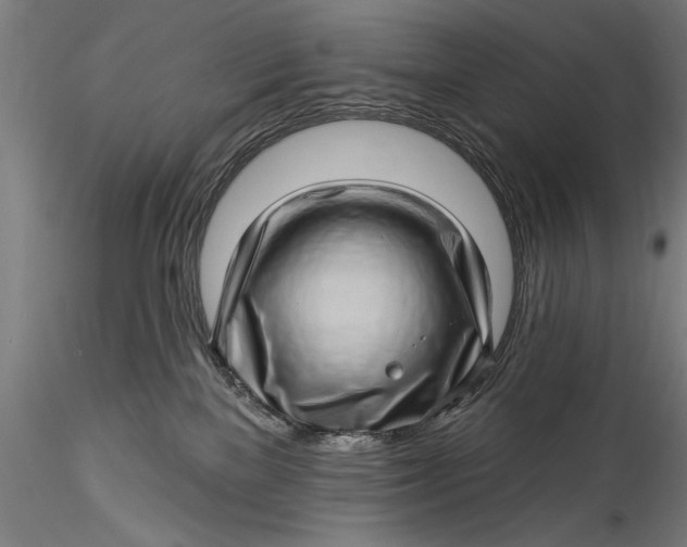 X0000115520137200911271331