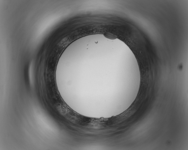 X0000115520140200911271331