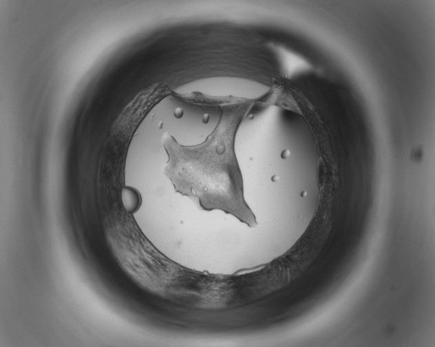 X0000115520143200911271331