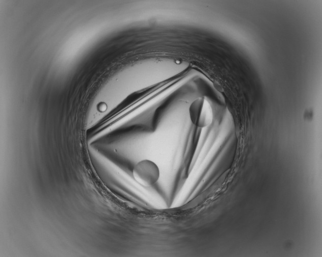 X0000115520146200911271330