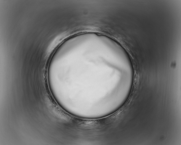 X0000115520151200911271330