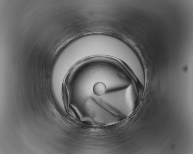 X0000115520154200911271330