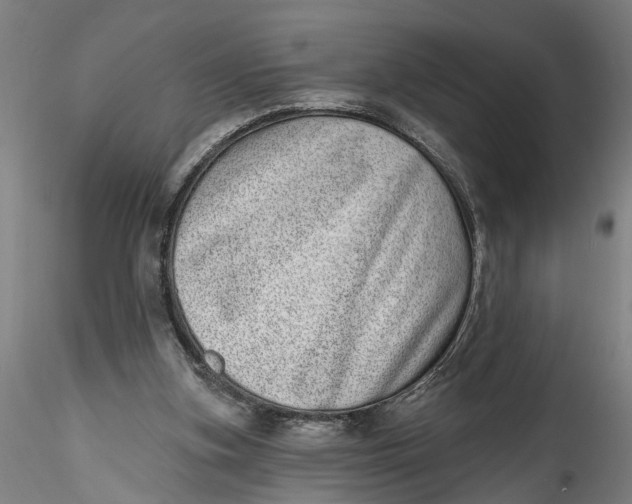 X0000115520155200911271331