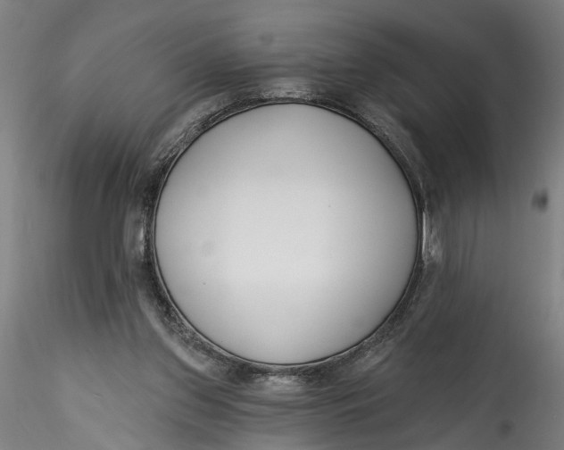 X0000115520157200911271331