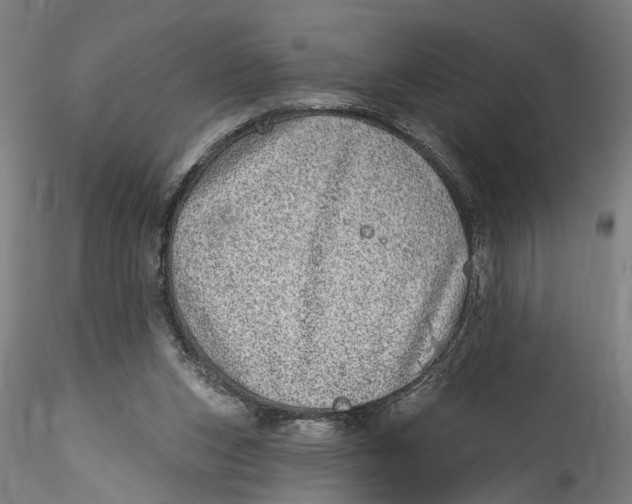 X0000115520159200911271331