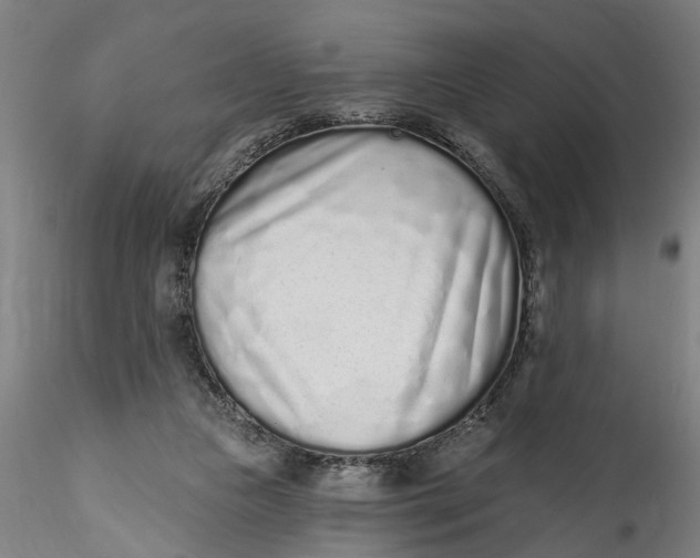 X0000115520161200911271331