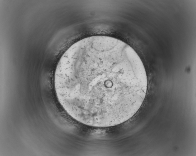 X0000115520162200911271331