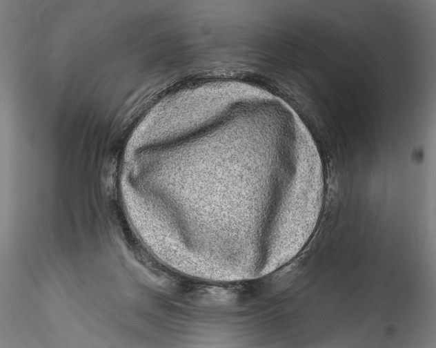 X0000115520166200911271331