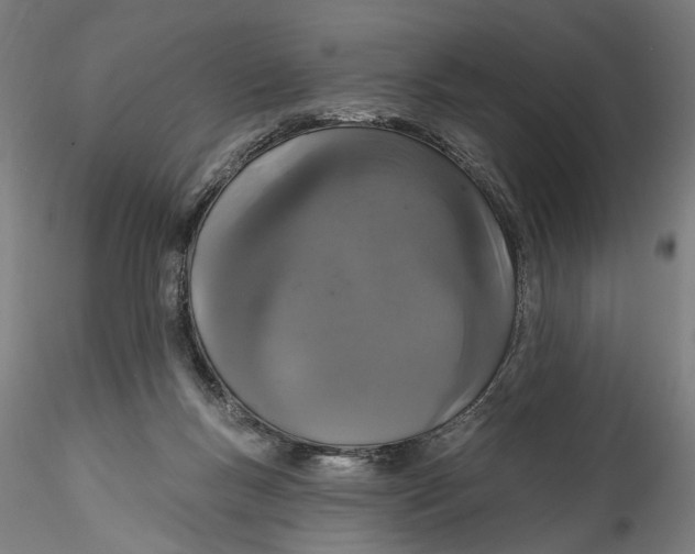 X0000115520167200911271331