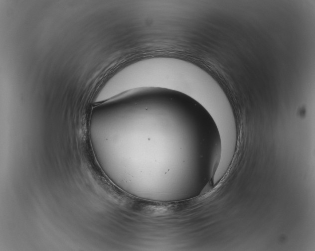 X0000115520170200911271331