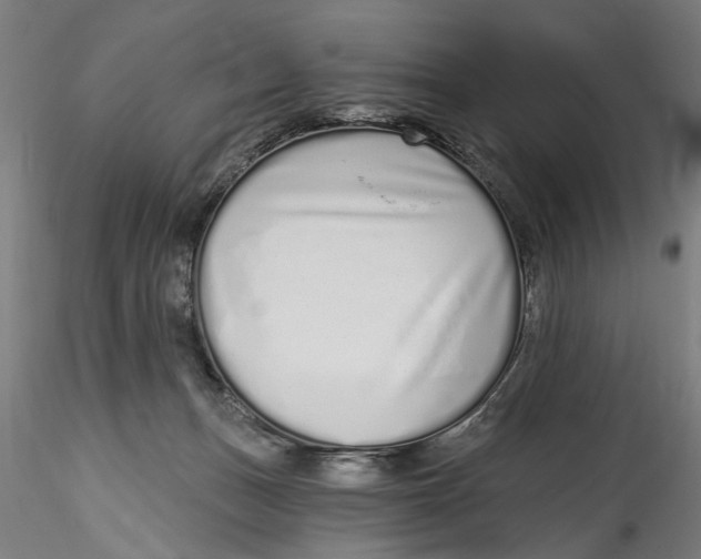 X0000115520175200911271331