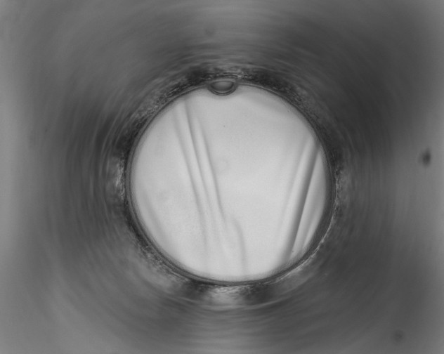 X0000115520178200911271331