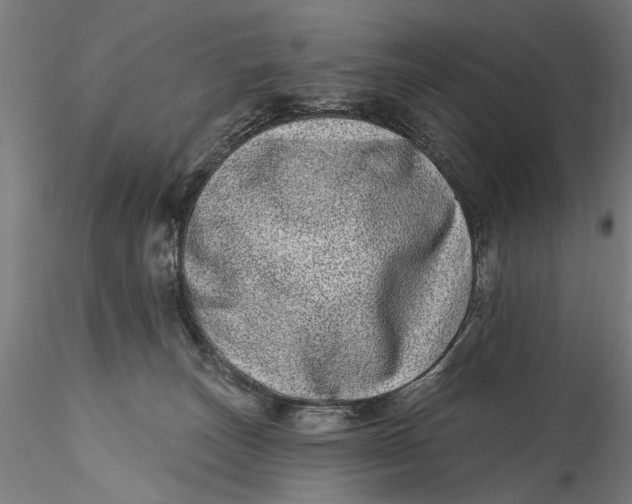 X0000115520179200911271331