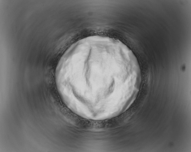 X0000115520181200911271331