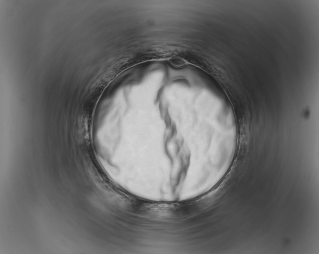 X0000115520182200911271331