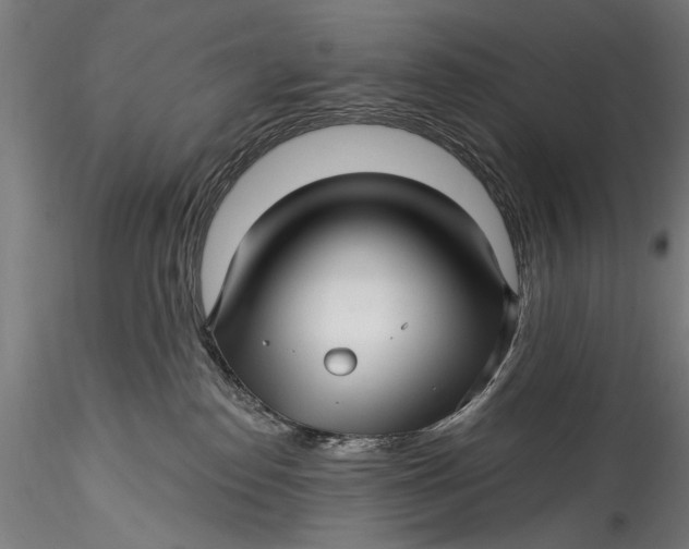 X0000115520186200911271331