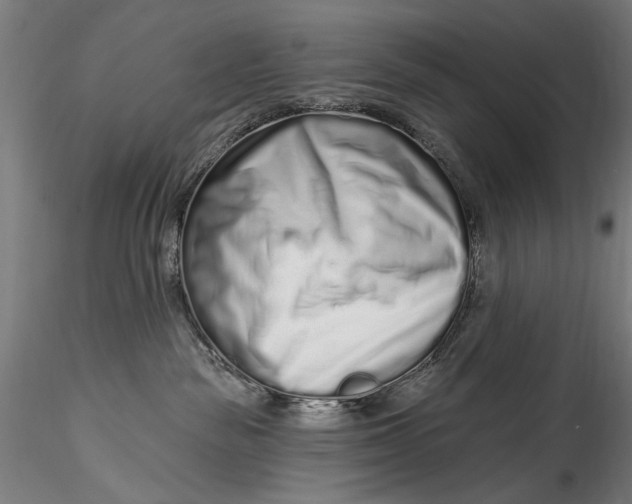 X0000115520189200911271331