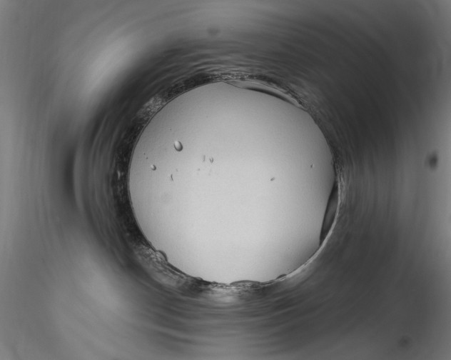 X0000115520190200911271331