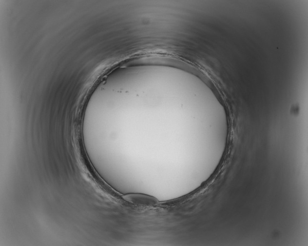 X0000115520193200911271330