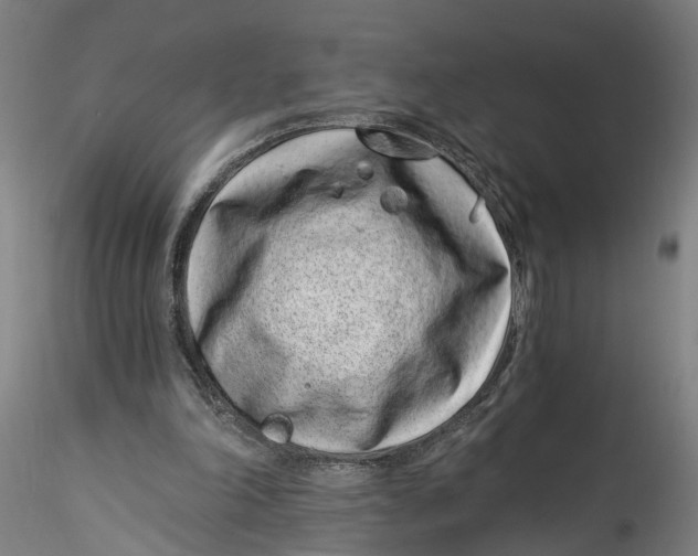 X0000115520198200911271330