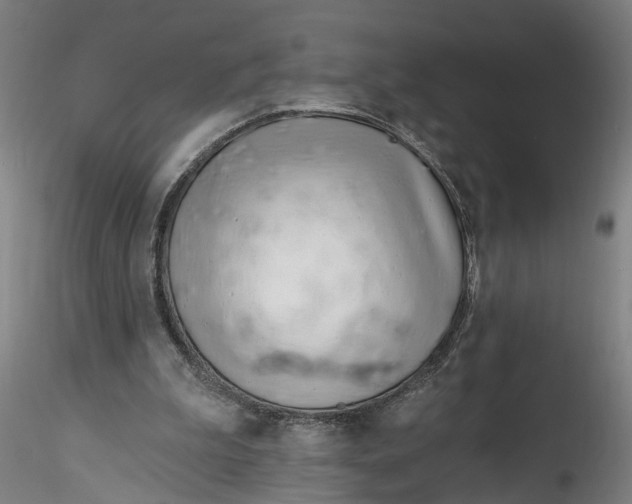 X0000115520199200911271330