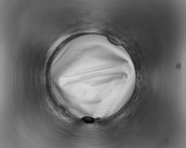 X0000115520200200911271330