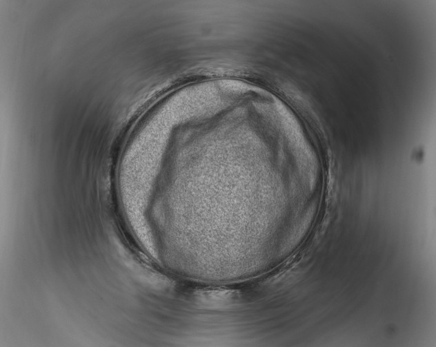 X0000115520202200911271330