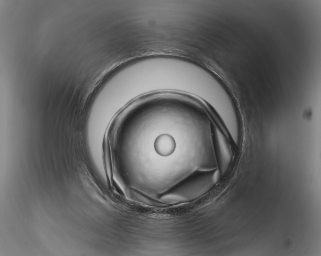 X0000115520203200911271330