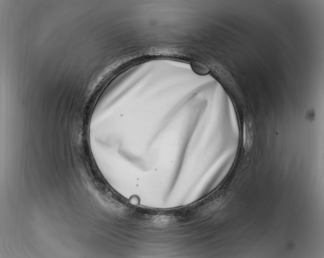 X0000115520204200911271330